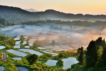 新潟の観光スポットを厳選