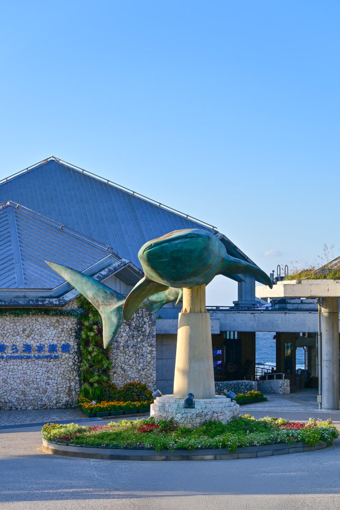 美ら海水族館　エントランス　今日もいい天気