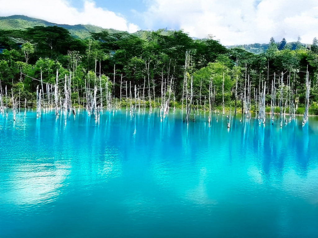 北海道の秘境、美瑛ブルーの奇跡