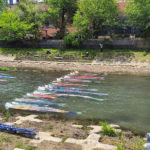 浅の川・鯉流し Asano River Koi-Nagashi