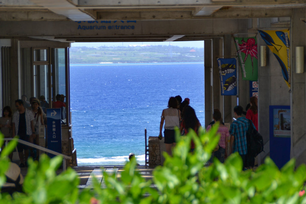 青い海と空に包まれる、絶景の入口—美ら海水族館へようこそ