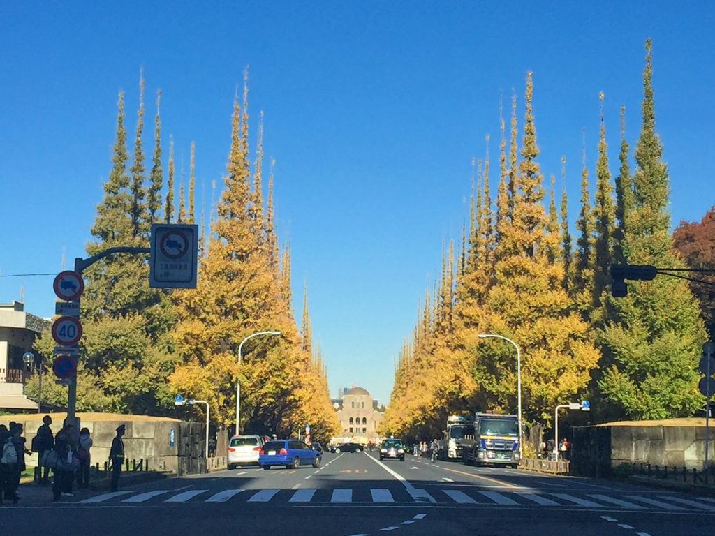 外苑前銀杏並木、都会のオアシスで深呼吸