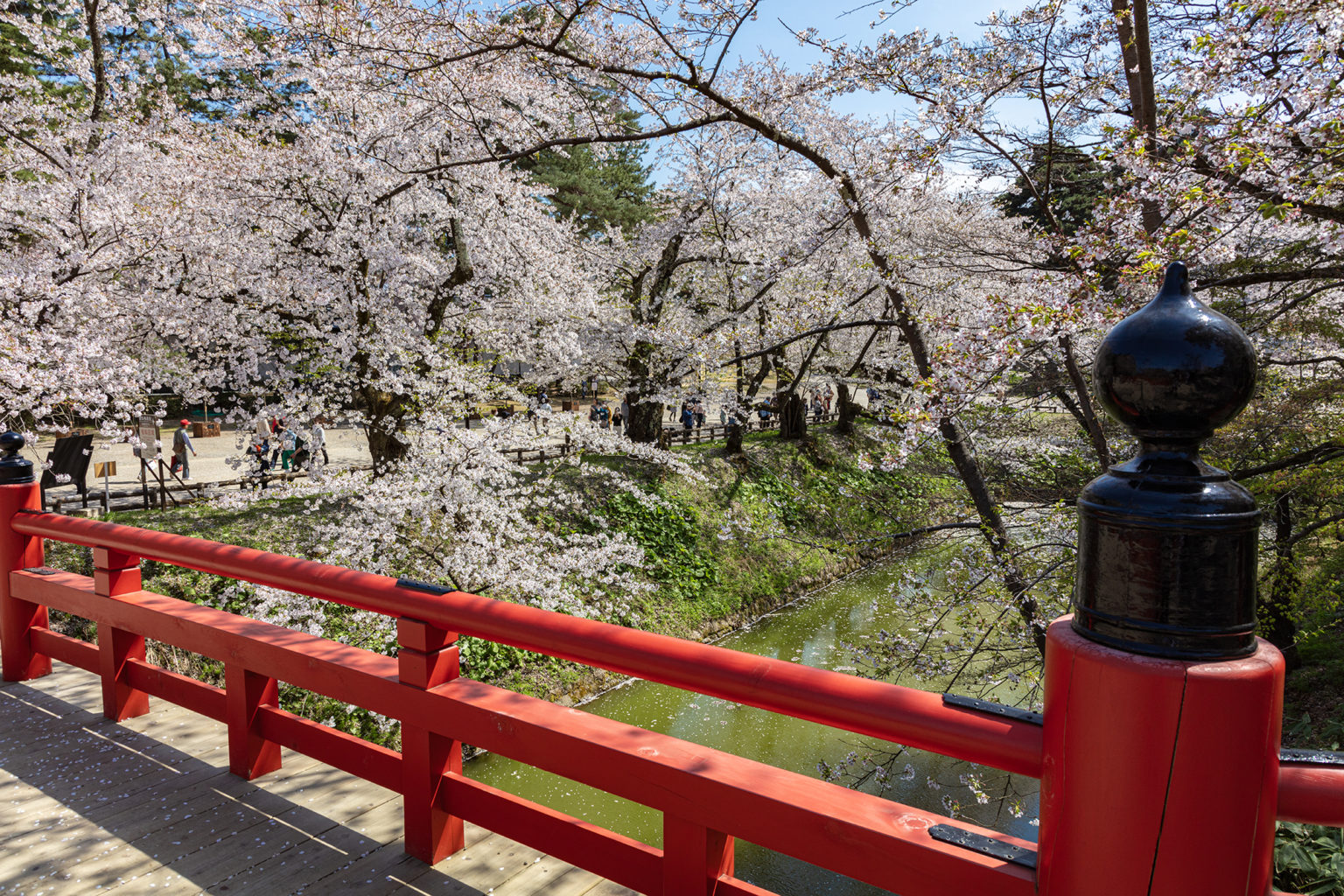 弘前城 Hirosaki Castle – わかりやすい観光マップ Japan Sightseeing Map Kawaii Official