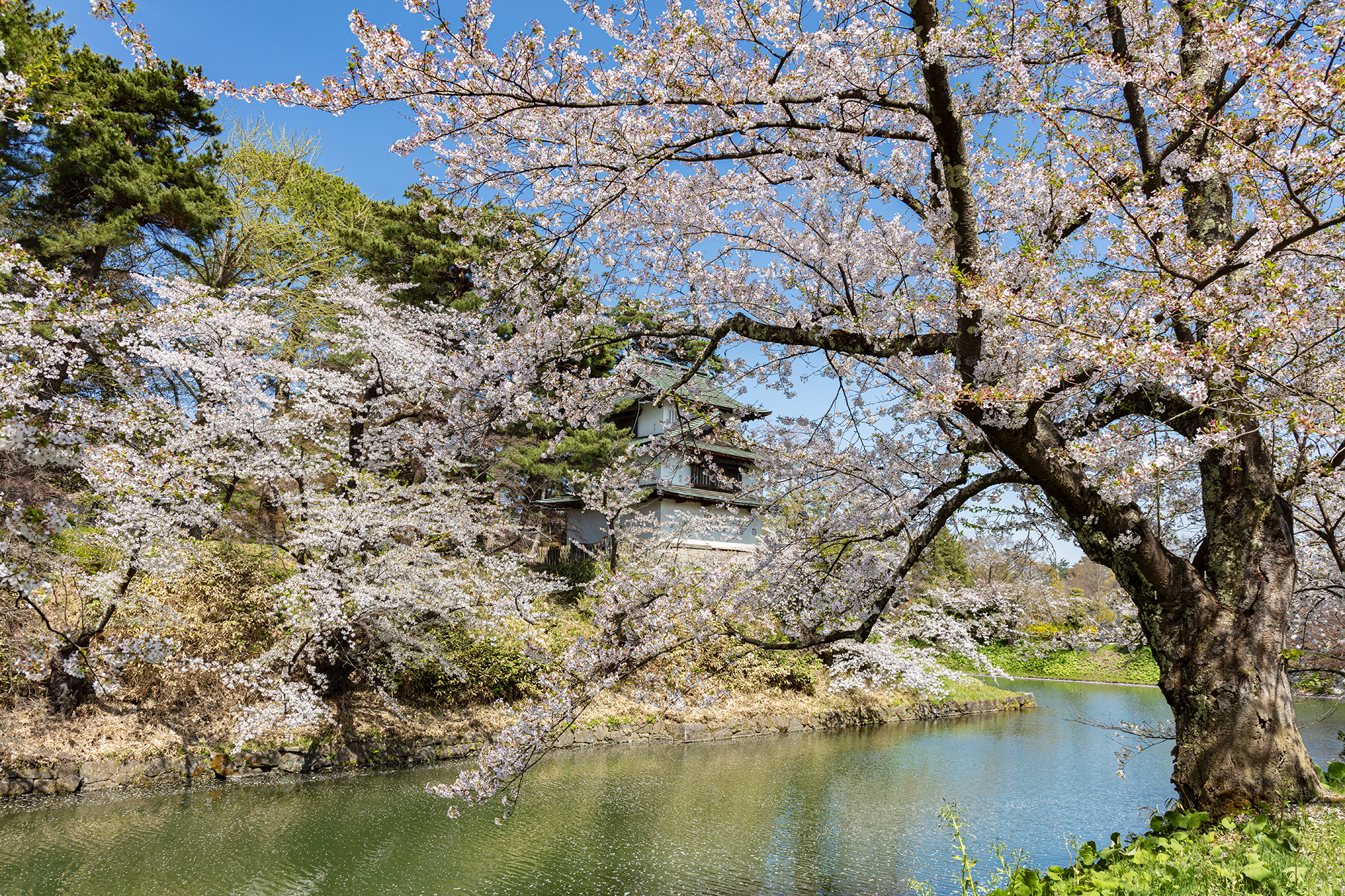 弘前城 Hirosaki Castle – わかりやすい観光マップ Japan Sightseeing Map Kawaii Official