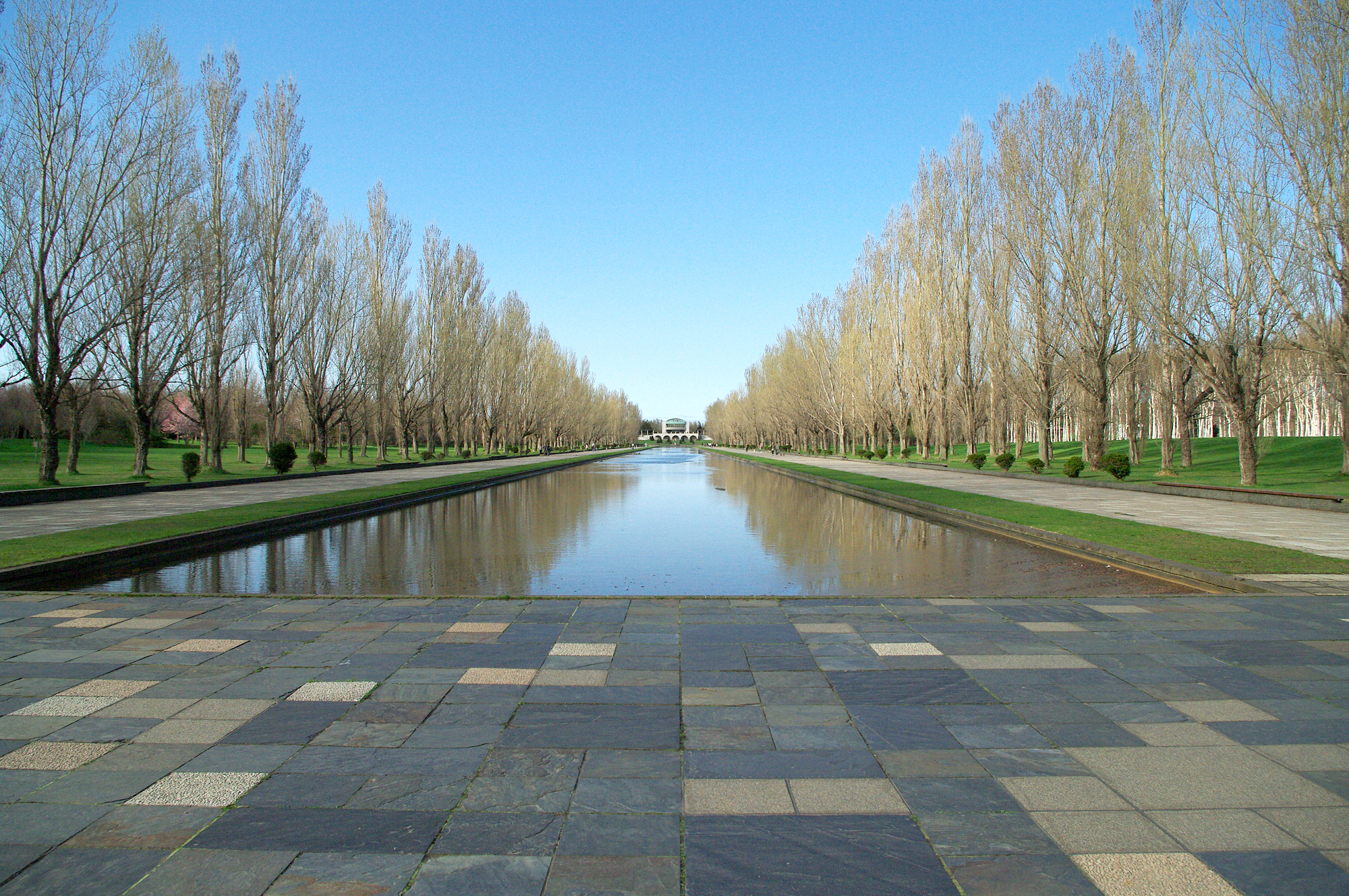 ポプラ並木に包まれる、前田森林公園 静寂のひととき。