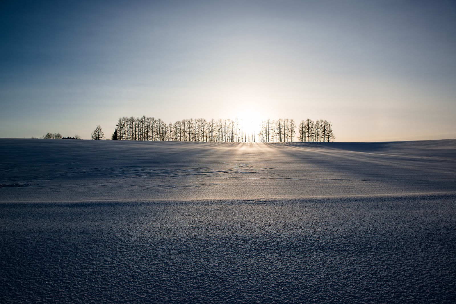 風が奏でる丘のメロディ、マイルドセブン冬の絶景