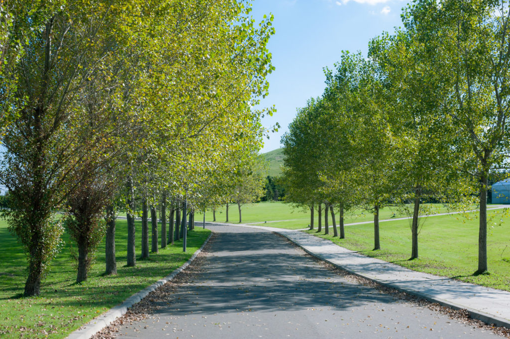 広がる緑とアート、モエレ沼公園の世界へ