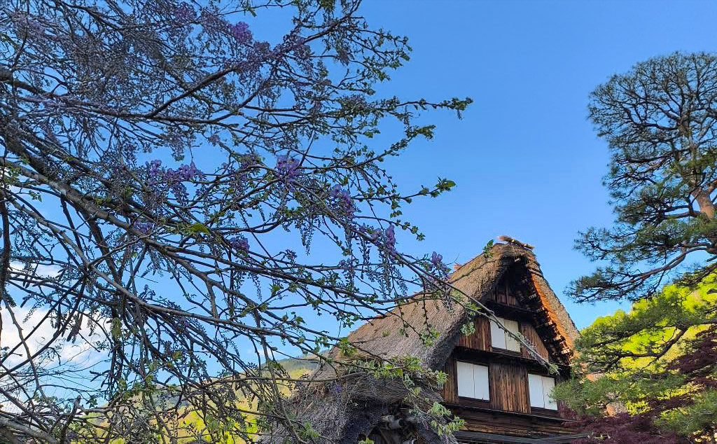 岐阜県 白川郷 世界遺産