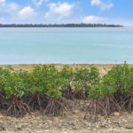 サニツ浜ふれあい公園 Sanitshama Community Park