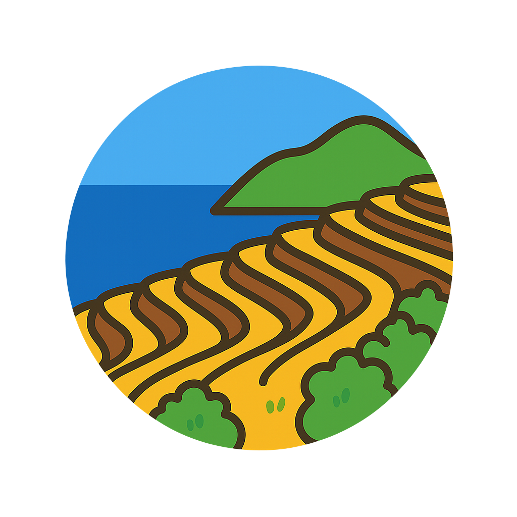 遊子水荷浦の段畑 Yusumizugaura Terraced Fields　愛媛県