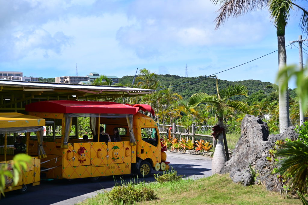 沖縄北部 名護パイナップルパーク