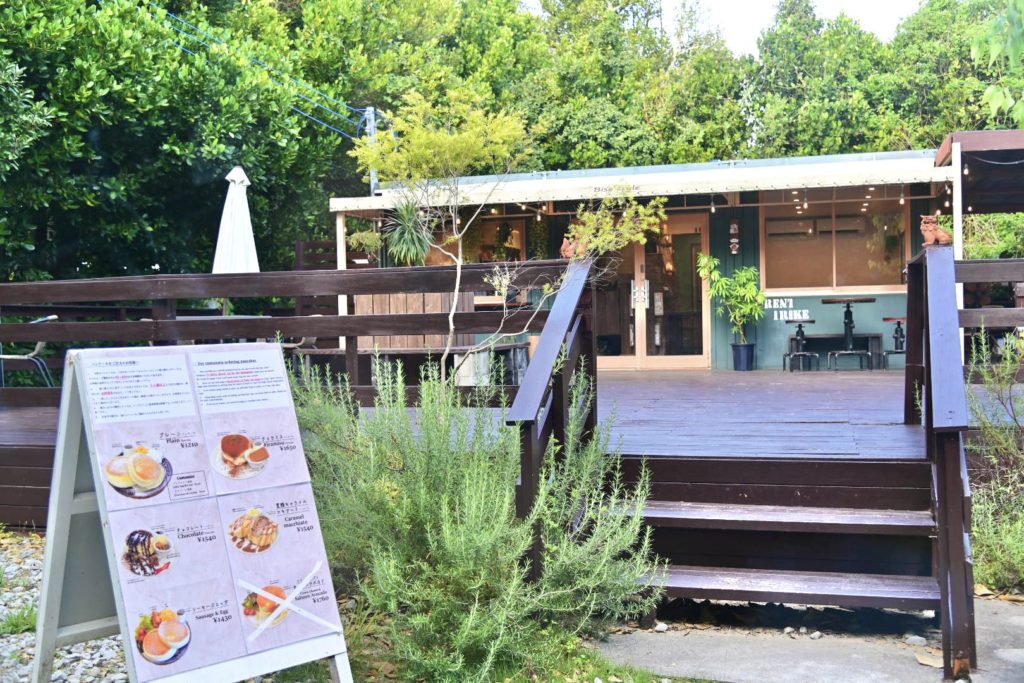 沖縄北部 本部 フクギ並木 備瀬集落