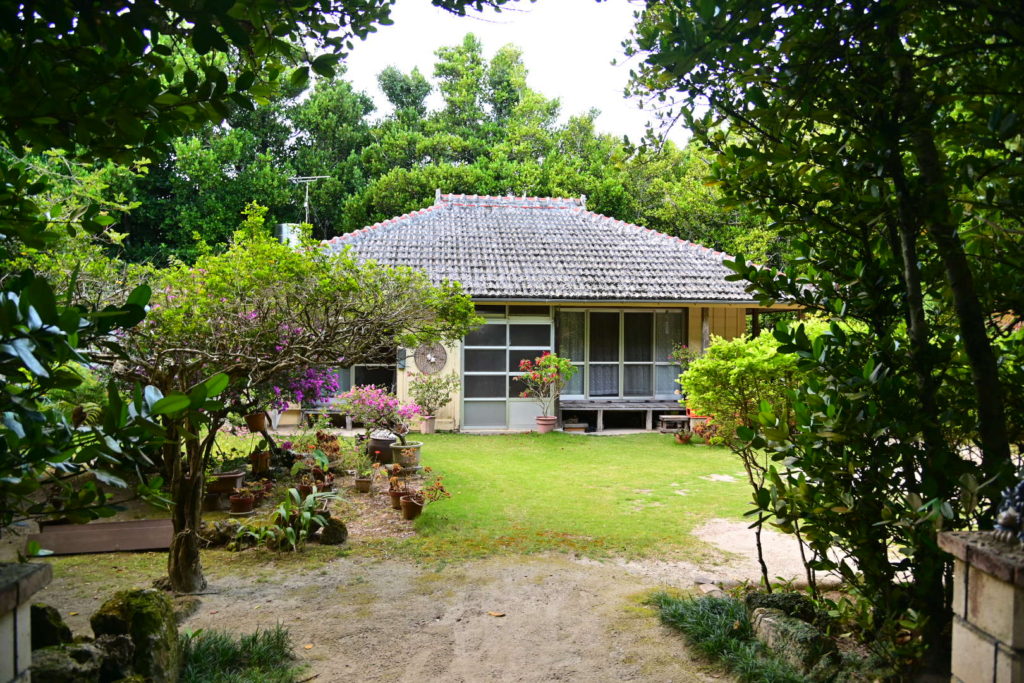 沖縄北部 本部 フクギ並木 備瀬集落