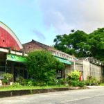 沖縄北部 今帰仁の駅 そーれ Michinoeki Sore