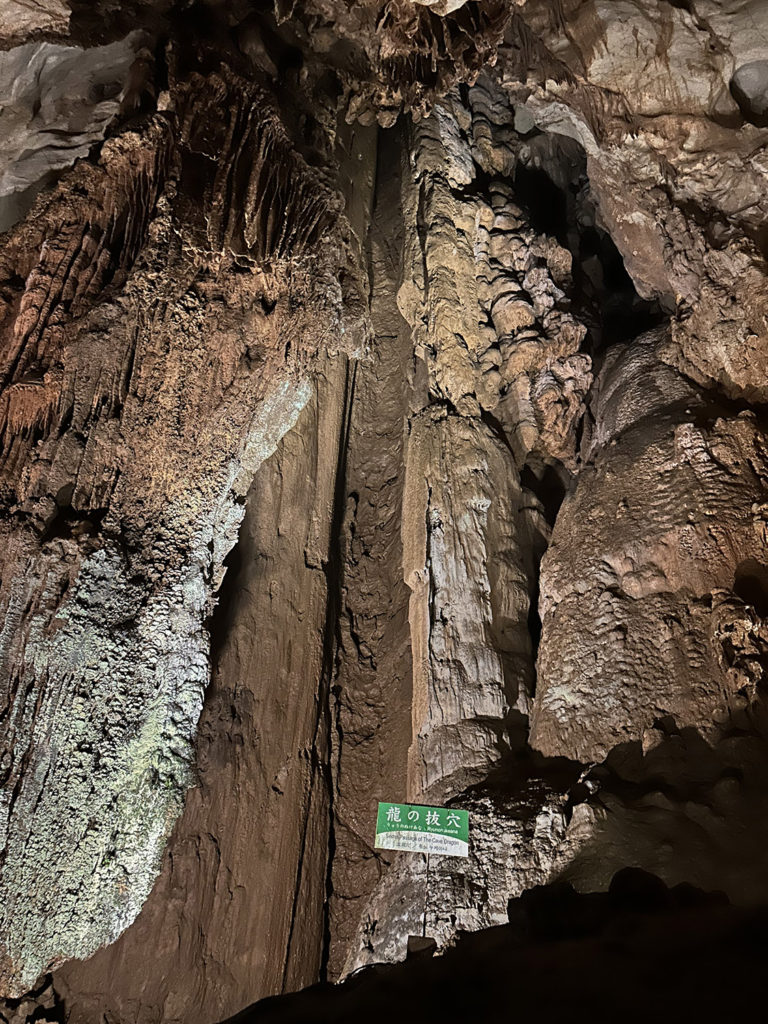 秋芳洞 Akiyoshido Cave 山口県 Yamaguchi