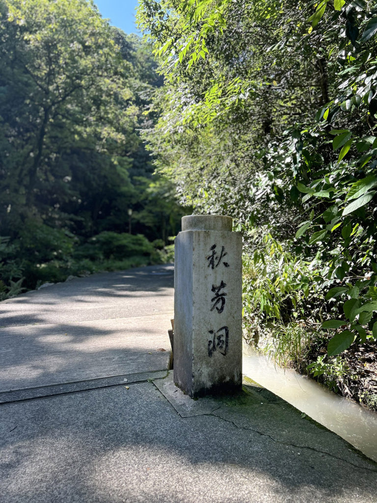 秋芳洞 Akiyoshido Cave 山口県 Yamaguchi