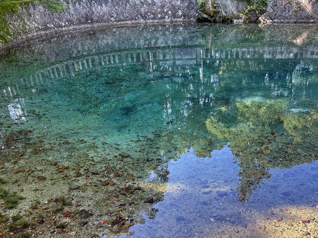 別府弁天池 Beppu Benten Pond 山口県 Yamaguchi