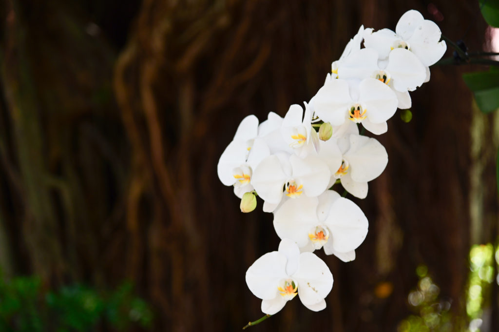 ひめゆりの塔 Himeyurino Tou 沖縄南部