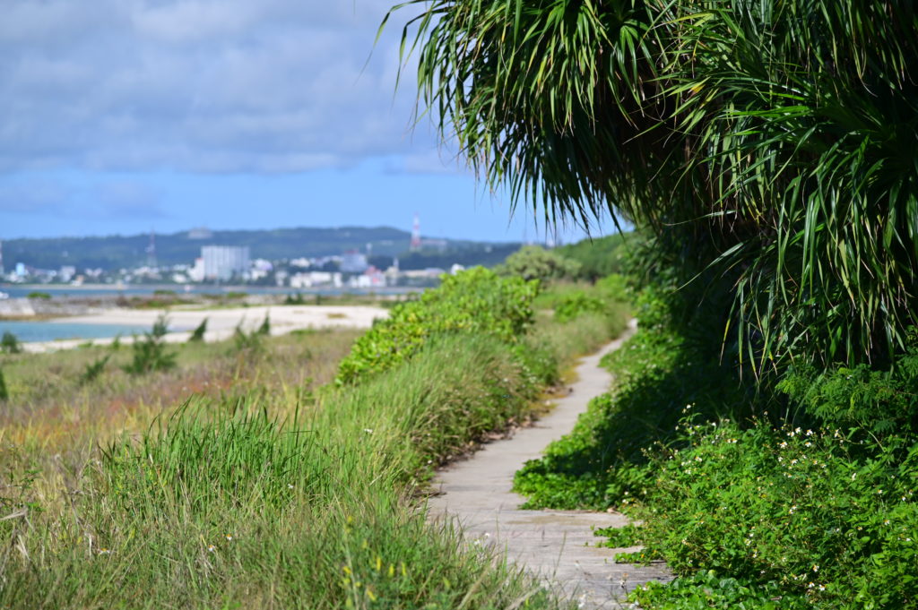 伊芸ビーチ 金武町ローカル Igei Beach Kin Town Local 沖縄中部