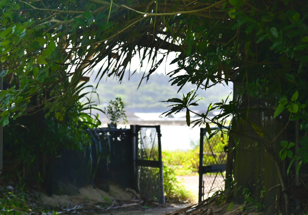 伊芸ビーチ 金武町ローカル Igei Beach Kin Town Local 沖縄中部