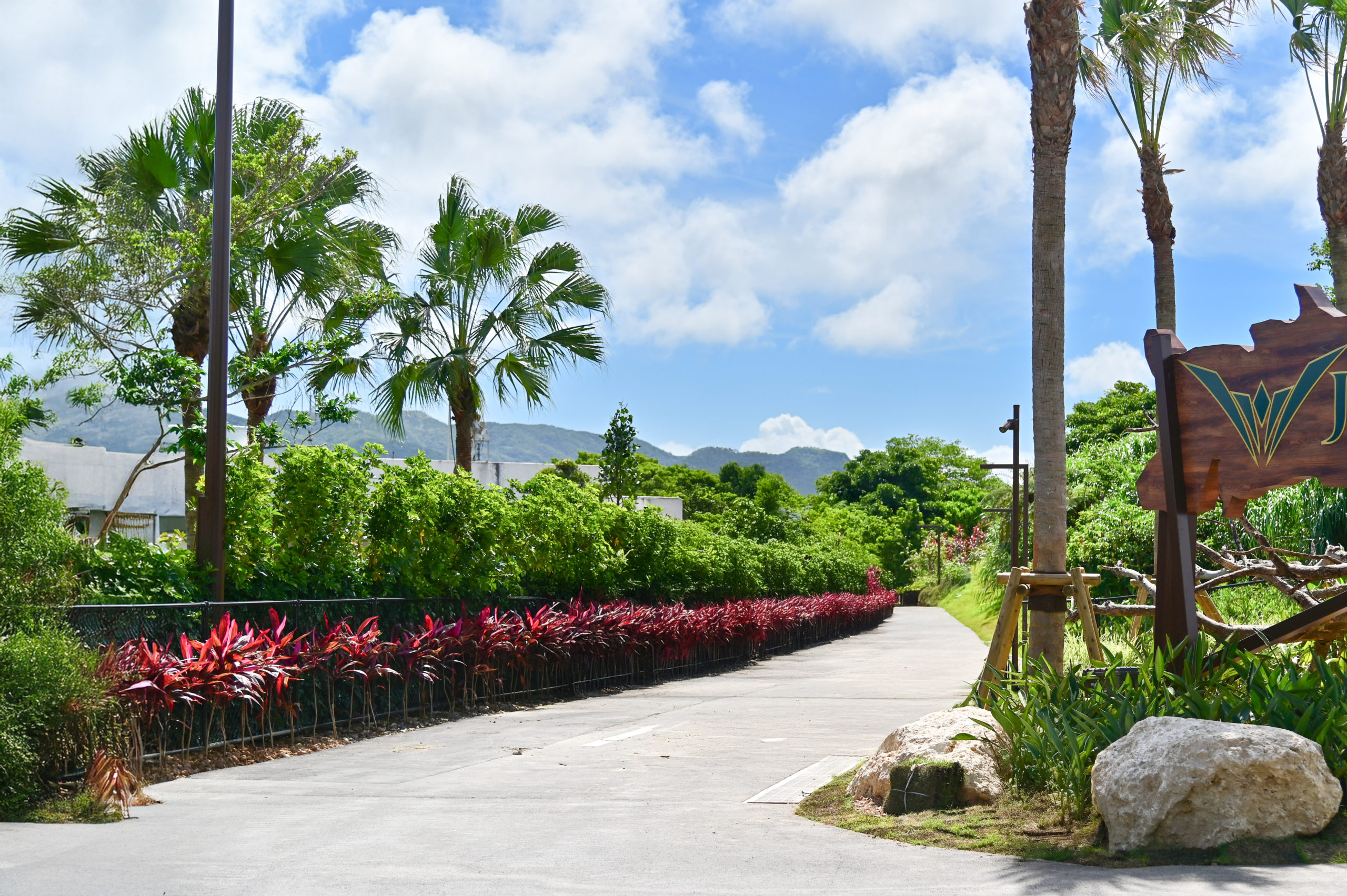 沖縄北部 ジャングリア Jangria