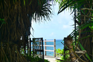 屋嘉ビーチ 金武町ローカル Yaka Beach Kin Town Local 沖縄中部