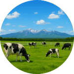 野辺山高原 Nobeyama Plateau