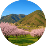 あんずの里 Anzu no Sato