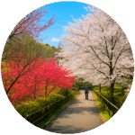 清水公園 Shimizu Park