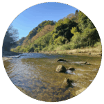 チバニアン Chibanian