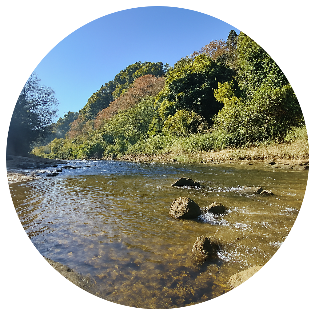 チバニアン Chibanian　千葉県