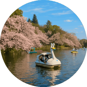 井の頭恩賜公園 Inokashira Park　東京都