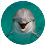 八景島シーパラダイス Hakkeijima Sea Paradise