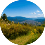 美の山公園（皆野町） Minoyama Park (Minano Town)