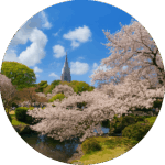 新宿御苑 Shinjuku Gyoen National Garden