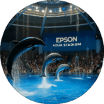 エプソン品川アクアスタジアム Epson Shinagawa Aqua Stadium