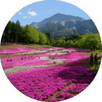 羊山公園 Hitsujiyama Park