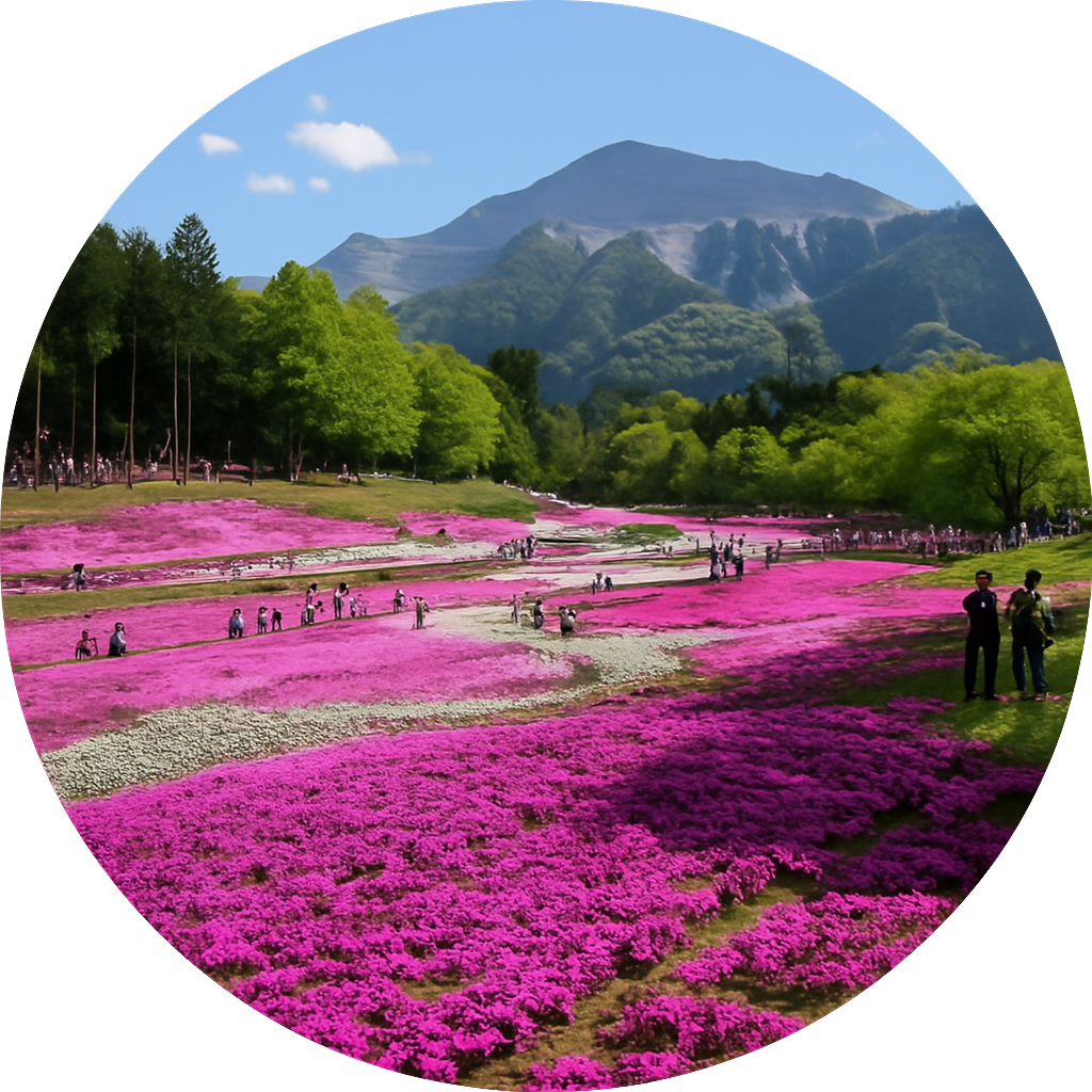 羊山公園 Hitsujiyama Park 埼玉県