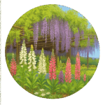 藤花園の藤 Wisteria in Fujikaen