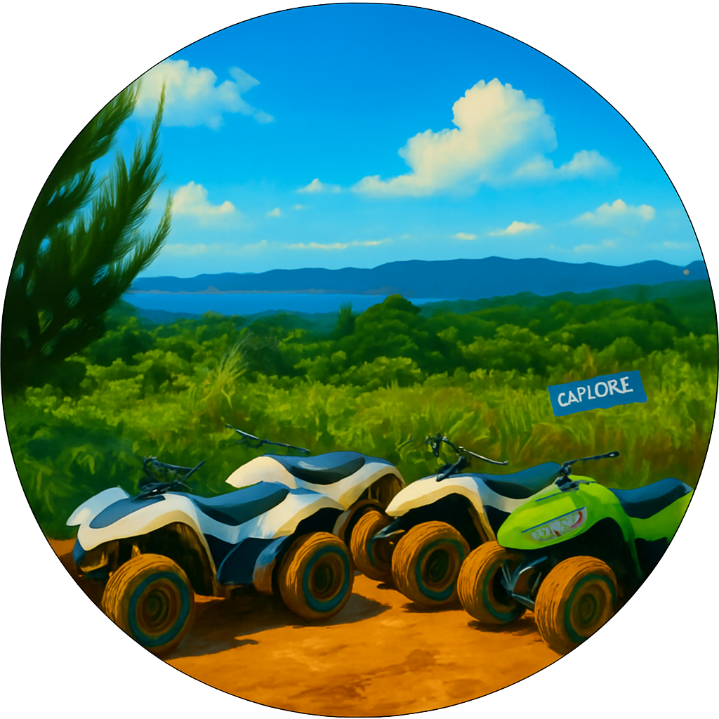 ヤンバルンチャー 東村店 沖縄北部