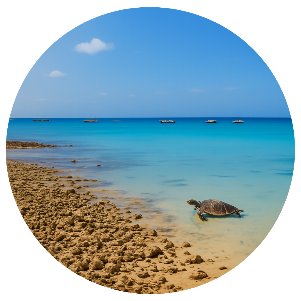 大崎ビーチ(タチイ浜) Osaki Beach 石垣島