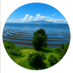 有明海 砂干潟 御輿来海岸 Sunahigata Okoshiki