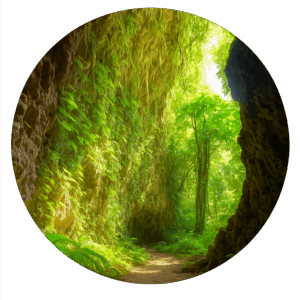 仲原鍾乳洞 Nakahara Cave 宮古島