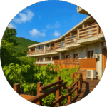 ジャングルホテル パイヌマヤ 西表島 Jungle Hotel Painu Maya