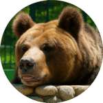 大内山動物園 Ouchiyama Zoo