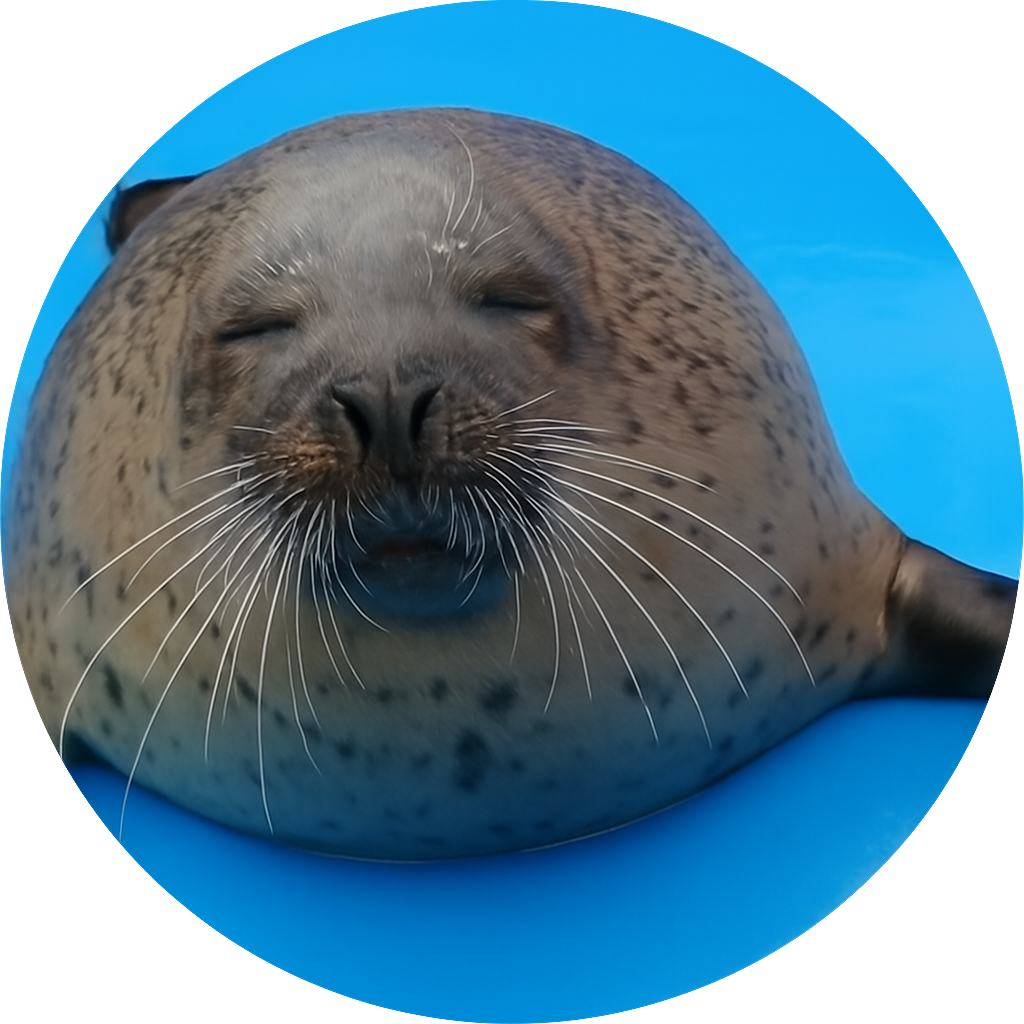 伊勢シーパラダイス 三重県