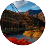 もみじ谷大吊橋 Momijidani Suspension Bridge