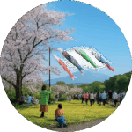 夜之森公園 Yonomori Park