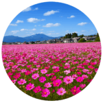 東員町中部公園 Toinmachi Chubu Park