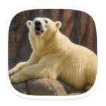 八木山動物公園フジサキの杜 Yagiyama Zoo Fujisaki Forest